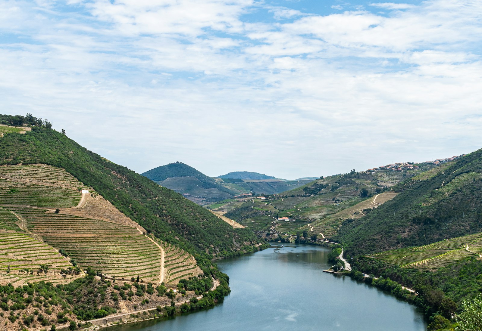 Paisagem do Douro com encostas verdes e rio no Norte de Portugal